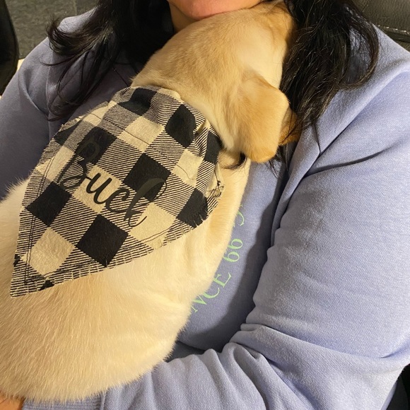 (2/$20) Handmade Dog Bandana/Handkercheif - Picture 3 of 3